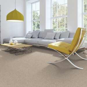 Carpet in living room | Sterling Carpet & Flooring