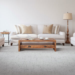 Carpet in living room | Sterling Carpet and Flooring