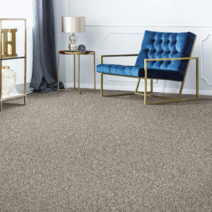 Carpet in seating area | Sterling Carpet and Flooring