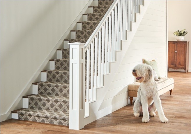 Shaw carpet stairs | Sterling Carpet and Flooring