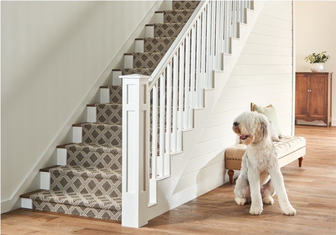 Shaw carpet on stairs Sterling Carpet and Flooring in mission viejo ca