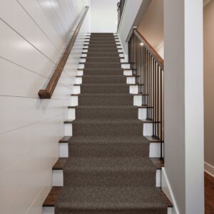 Shaw carpet stair runner | Sterling Carpet and Flooring