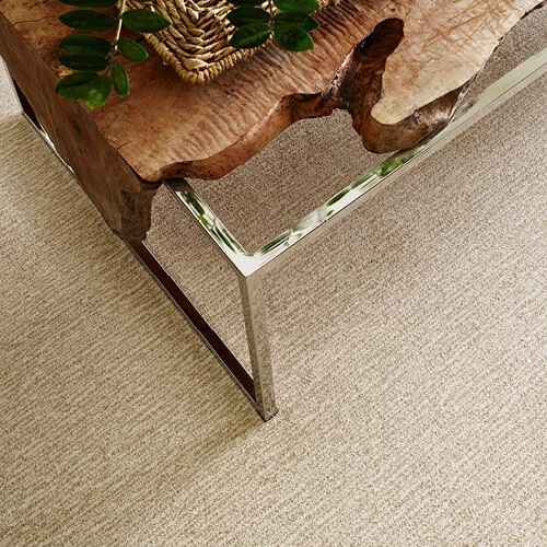 Carpet flooring | Sterling Carpet & Flooring