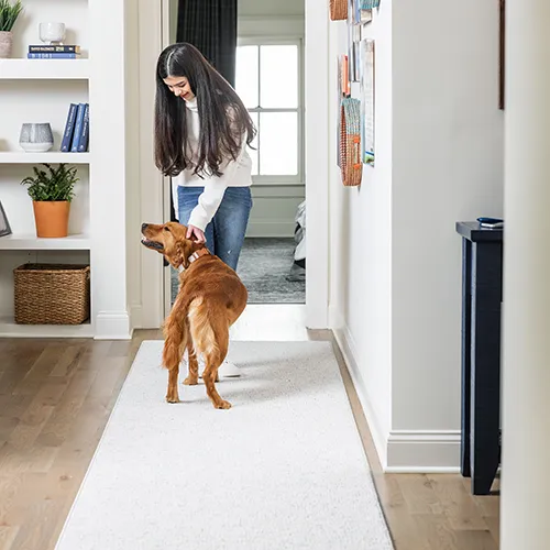 Foot-Traffic Area Rug Foot Traffic | Sterling Flooring