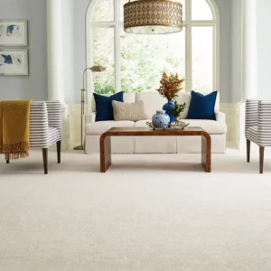 FindYourComfortNovelSolid-EA816-00153-ChampagneToast-H Carpet in living room | Sterling Carpet & Flooring
