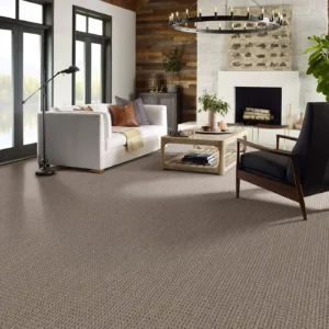 HDF42_99500_ROOM Carpet in a sitting room | Sterling Carpet & Flooring