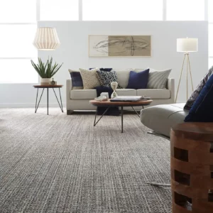 SUNDANCE-ZZ039-JURA-GREY-00525-V Carpet in a modern living room | Sterling Carpet & Flooring