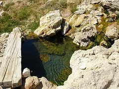 imgi_8_greenflooring5 imgi_8_greenflooring5